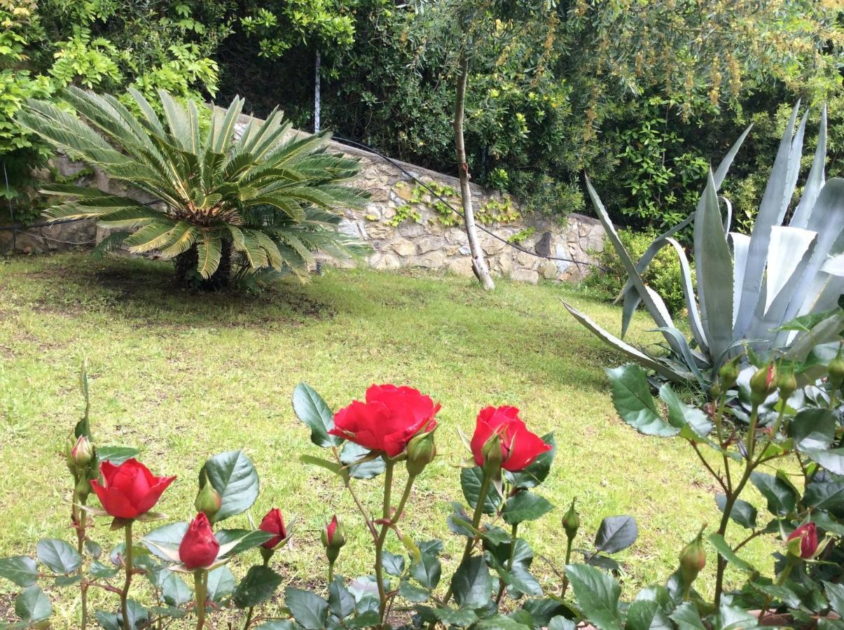 Tra Mare E Bosco Nella Splendida Quercianella Βίλα Εξωτερικό φωτογραφία